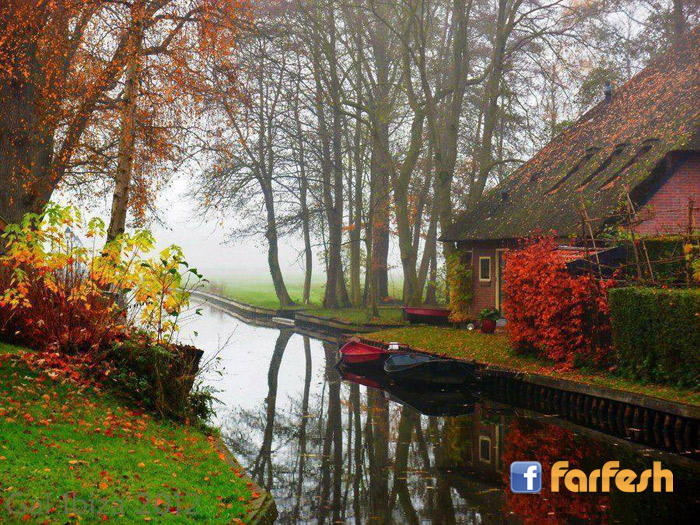 ���� ����� ���� ������