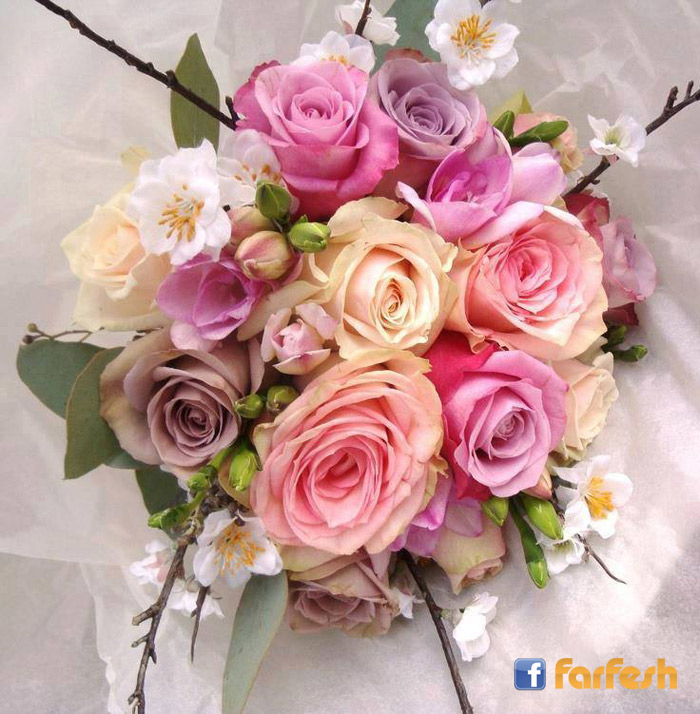 ����� ����� �������