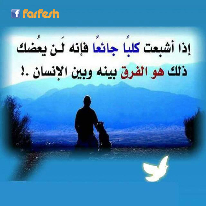 ��� �� ����� ��� ����� �������� �����