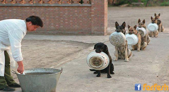 ���� ������ �� ����� ����� ������� ���� ���� ...