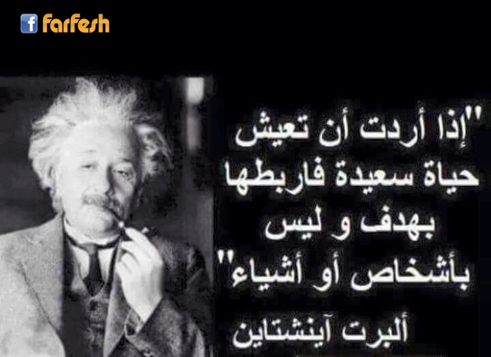 ��� ���� �� ���� ���� ����� ������� ����