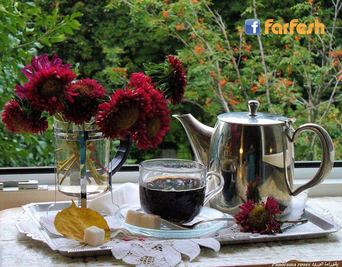 ������ �� �� ������