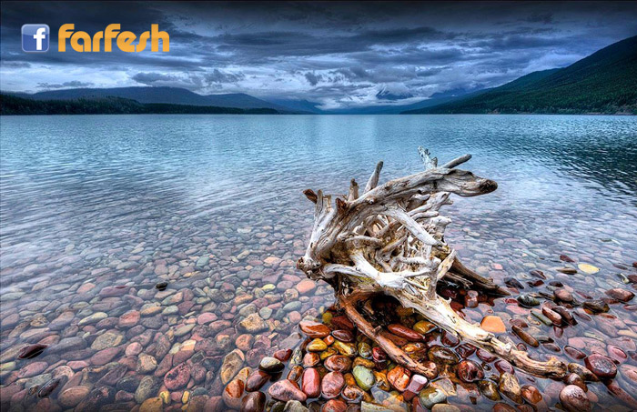 ���� ���� ������ ������