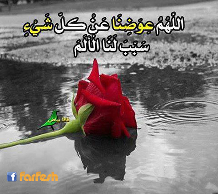 ��  �� ������