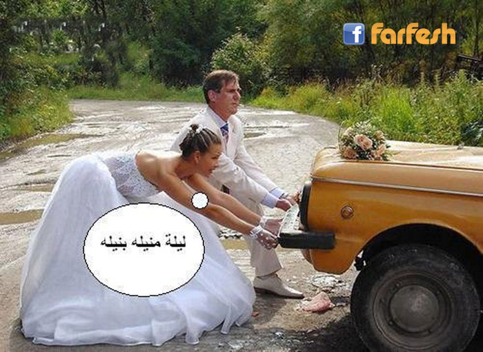 ������ ��� ����� ����