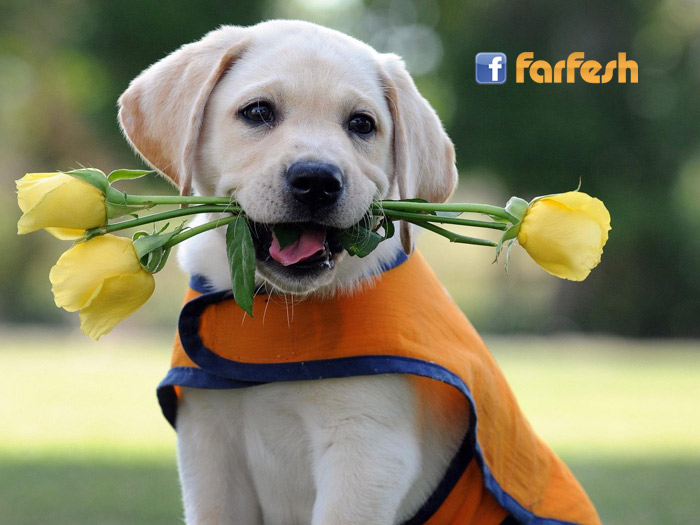 ������ ��� ��� �����ɿ