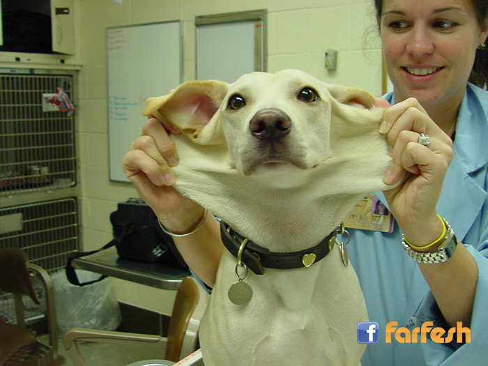 �� ����� ������  �������