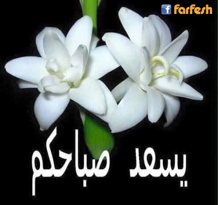 ���� ������