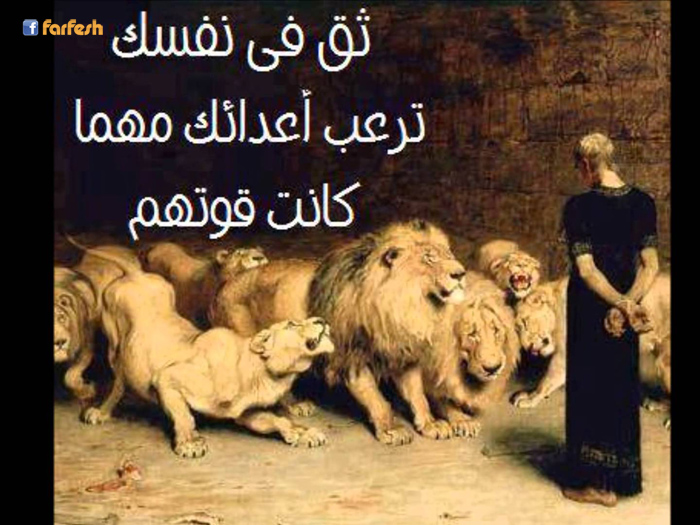 ���� ������ ���� �����