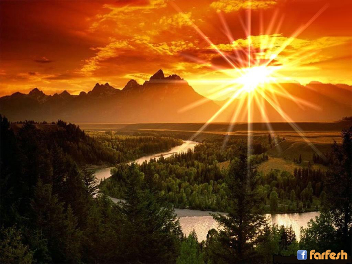 ���� ������ ��� ���� �� ��� �����