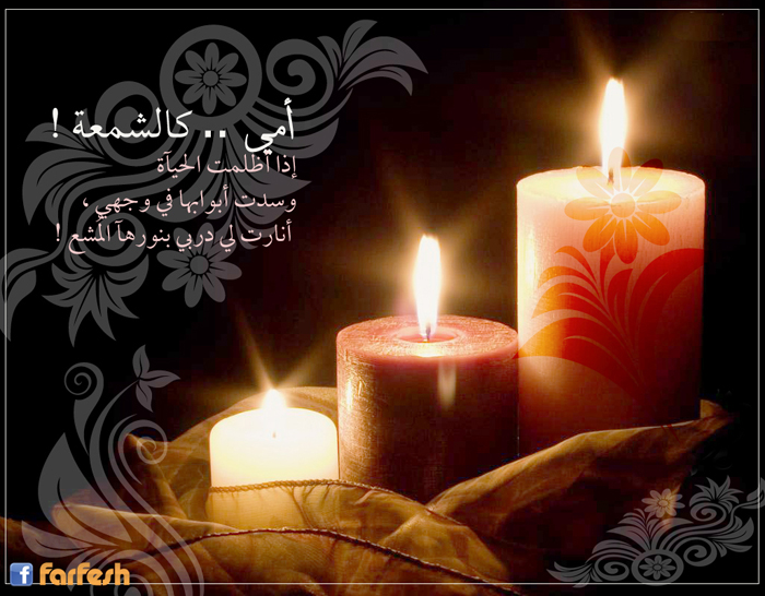 ������ ��