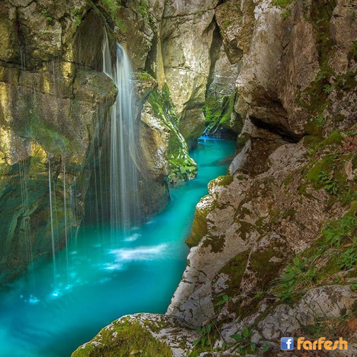 ����� �� ��� ������