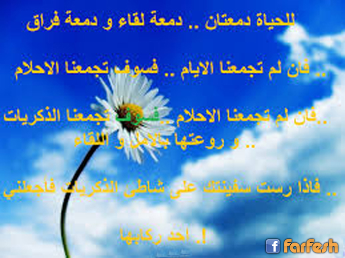 ������ ������..