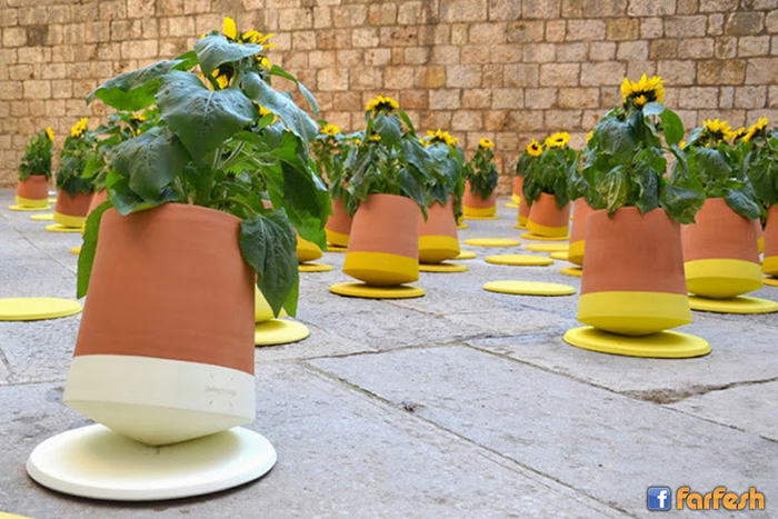 ����� ���� ����� ���� ������ ���� �������� ���� ������ ���� �����