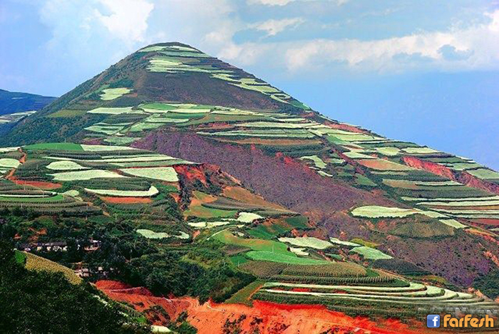 ���� ������� �� ������