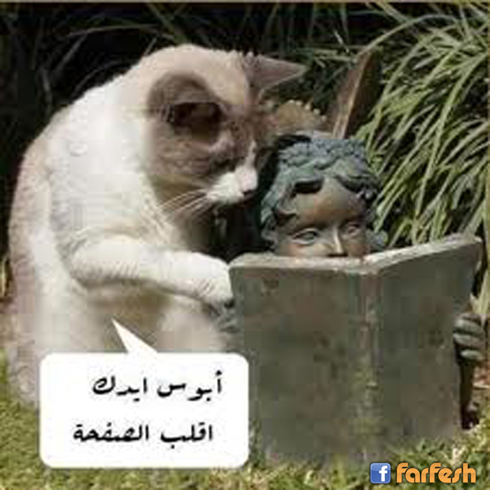 ���� ������ �� ����