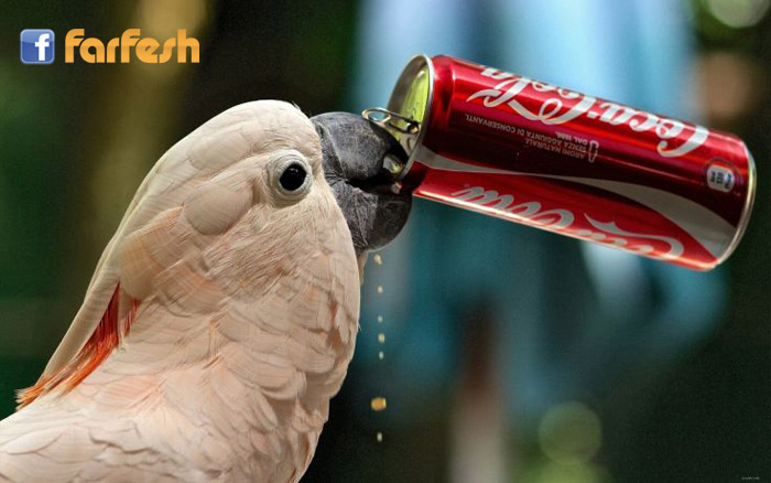 ���� ���� �����