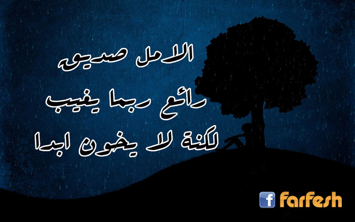 ����� ���� ����