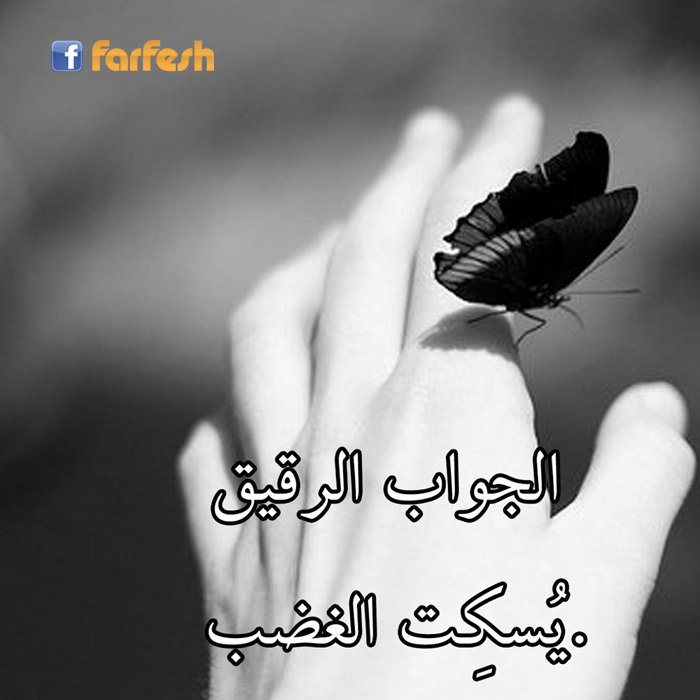 ������ ������ ���� �����