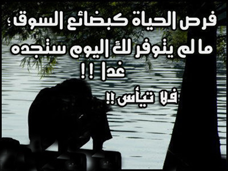 ��� ������ ������ �����