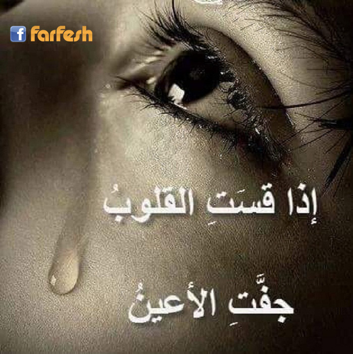 ��� ��� ������ ��� ������ �� ����� ��������