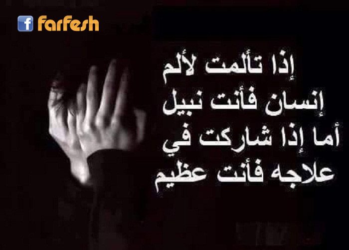 ��� ����� ���� ����� ����