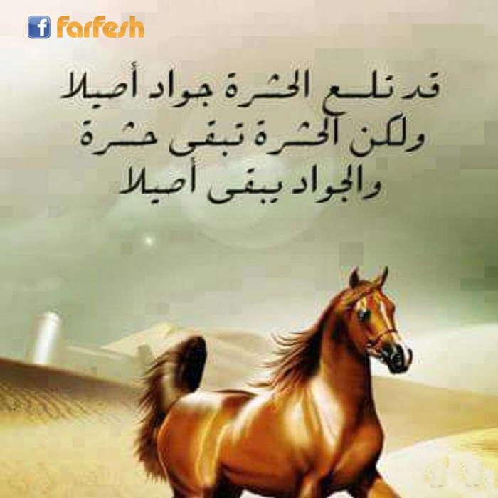 ������ ���� ����