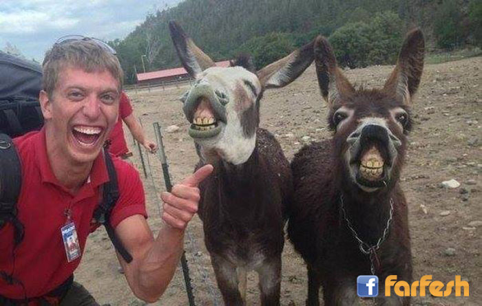 ������ ��� ������