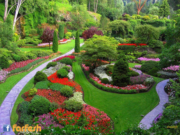 ����� �����