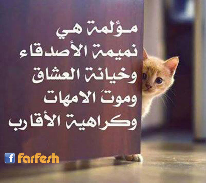 �� �� ����� ������