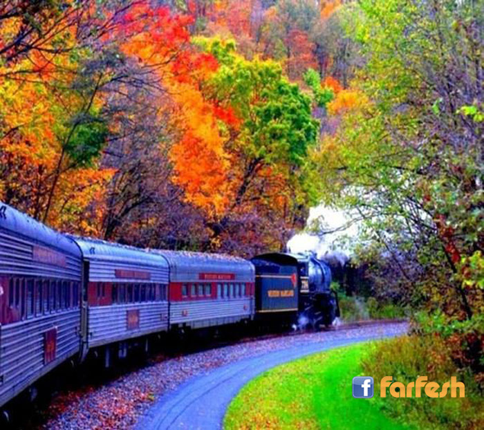 ���� ���� ��� ����� ������ �� �������