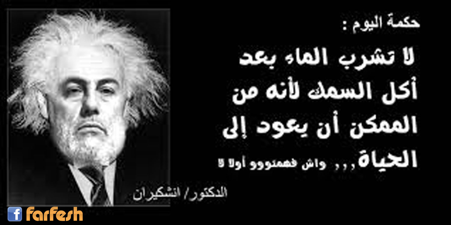 ���� �����....�����