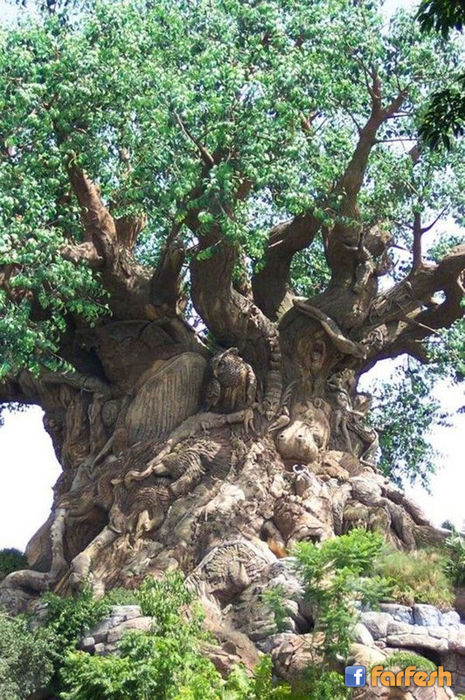 ���� ������ ����� ��� ������� ������ �������