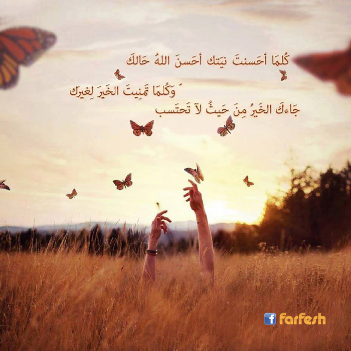 ���� ����� ���� ���� ���� ����