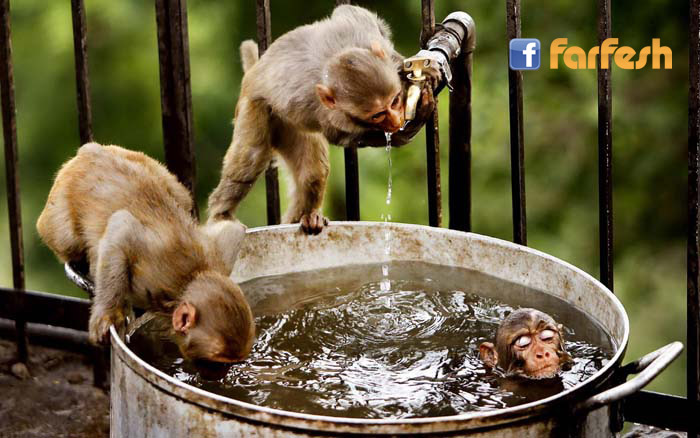 �� ���� �� ���� �����