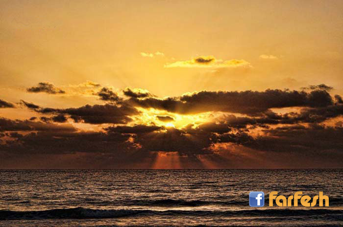 �� ���� ���� �� ���� ����� ��� ����ѿ