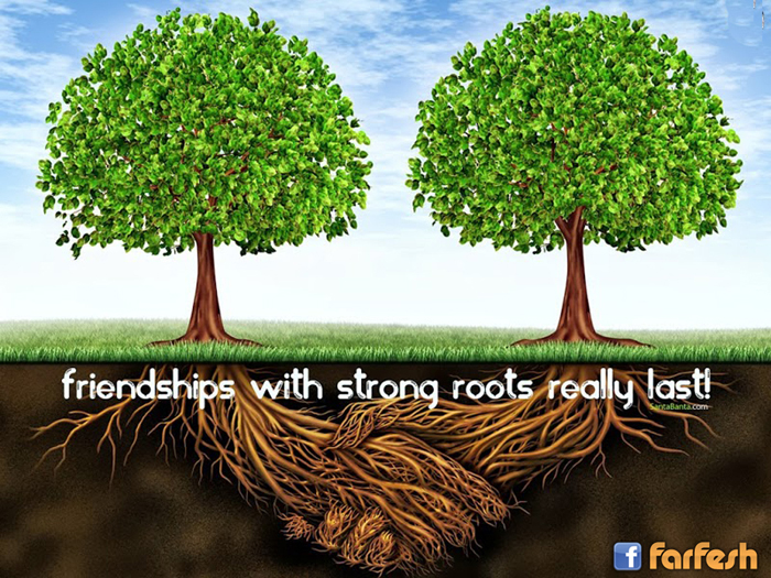 ���� ����� �� �������