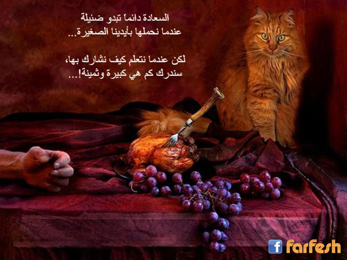 ���� �������