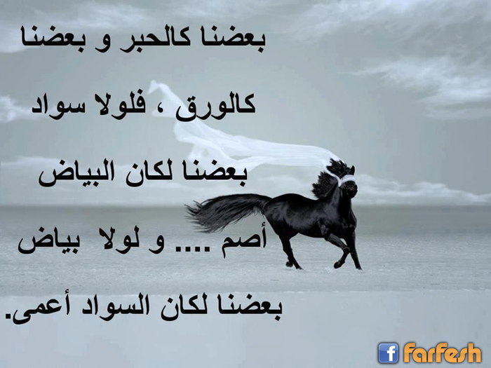 ����� ������ ������ �����ޡ ����� ..