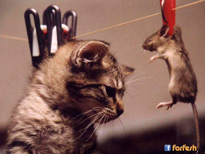 ���� �� ����� ��� � :-)