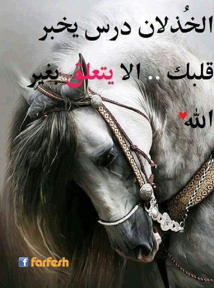 ������� ��� ���� ���� ��� ����� ���� ����