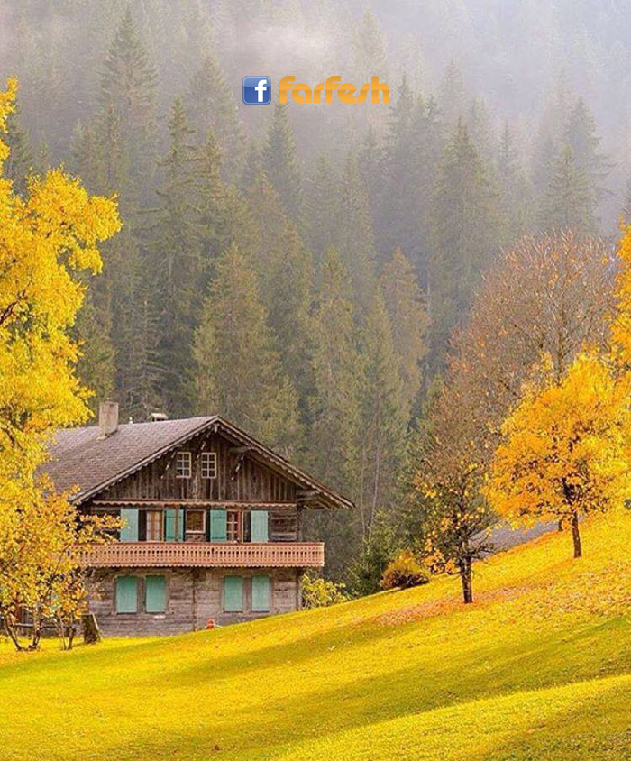 ���� ����� �� ��� �������