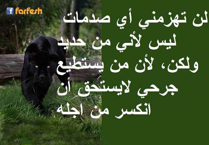 �� ������ �� ����� ��� ���� �� ���� ���� !!!