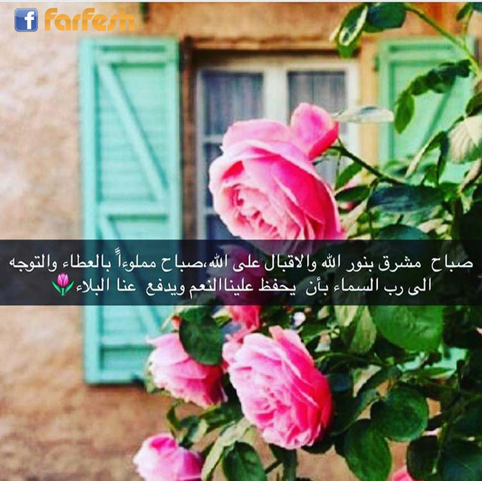 ���� ����� ������� �������