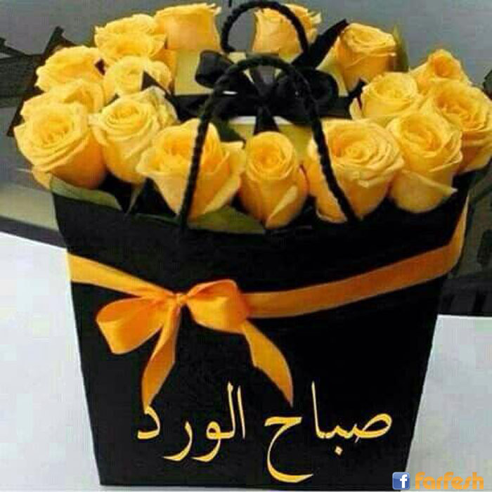 ���� ����� ������ ��������