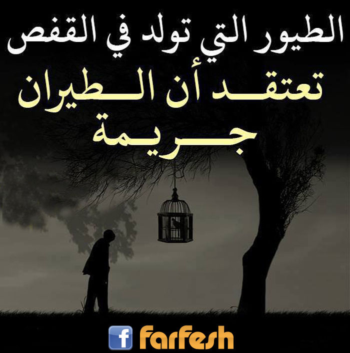 ������ ���� ���� �� ����� ����� �� ������� �����