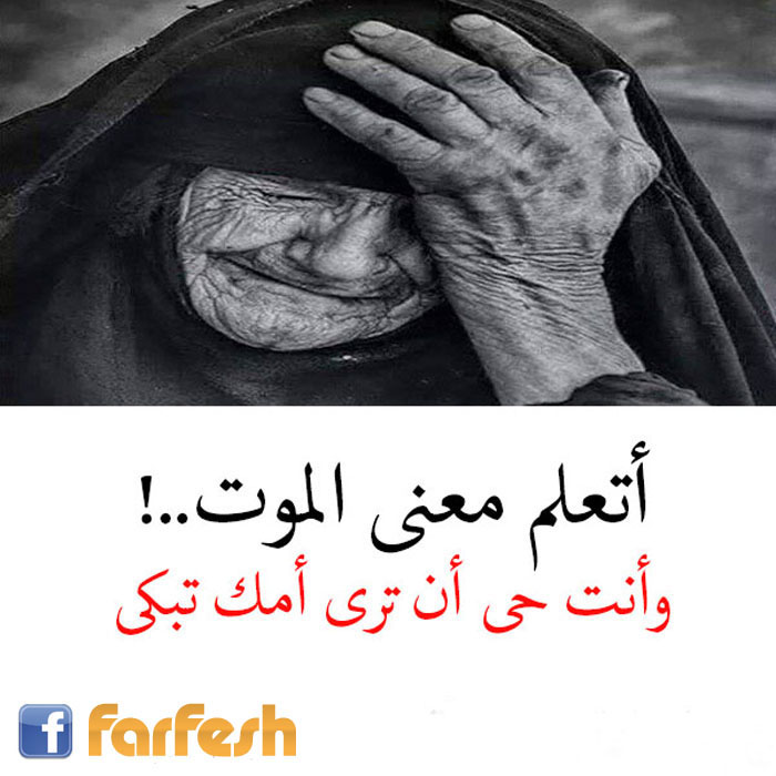 ����� �� ������ ���� �����