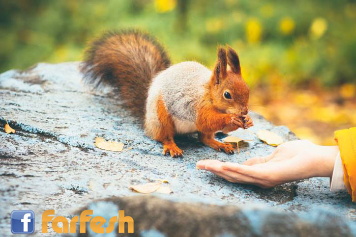 ��� ��� �� ���� ����