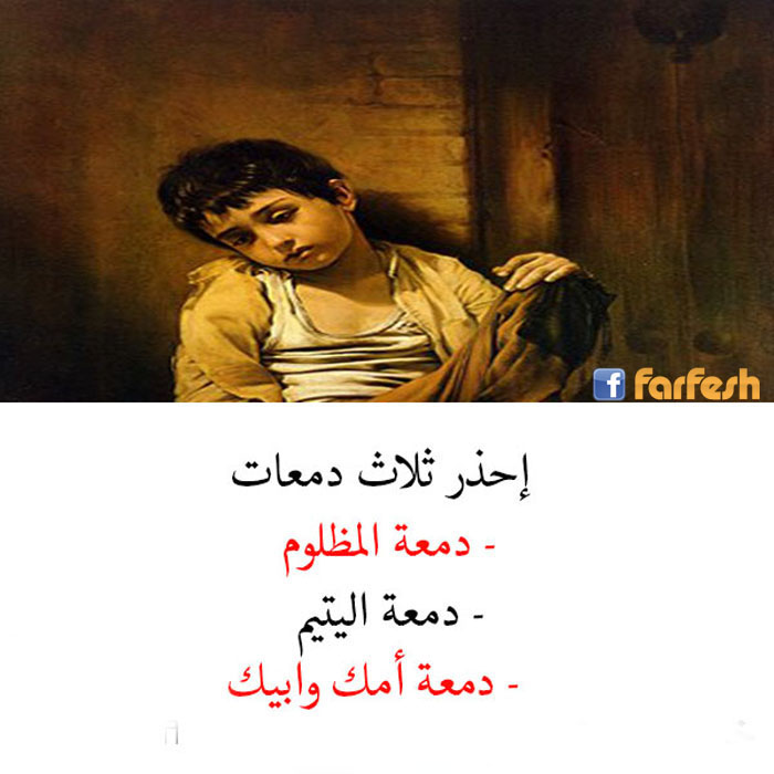 ����� ������ ����