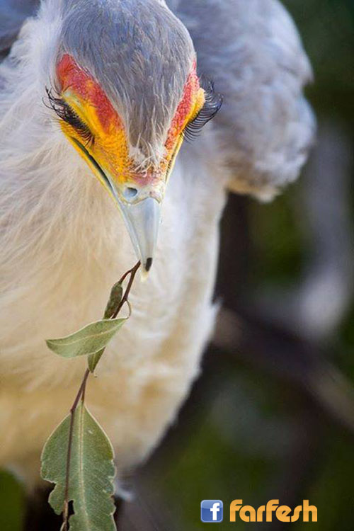 ���� ���� ���� ���� ������ �� ������ ���� �� �������